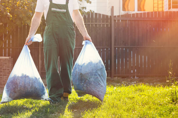 Best Household Junk Removal  in Roslyn, PA